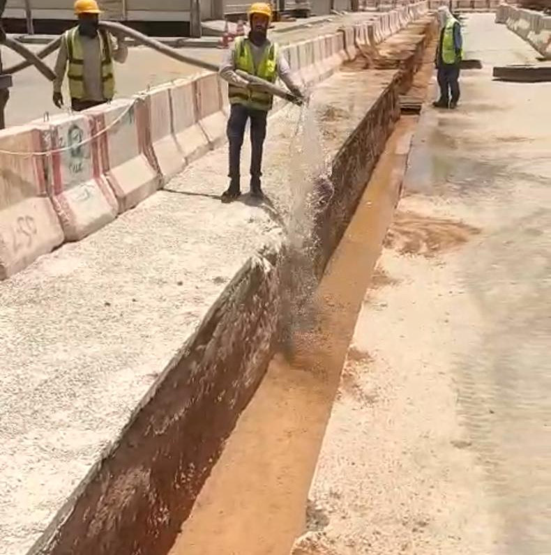 Green Riydh Project